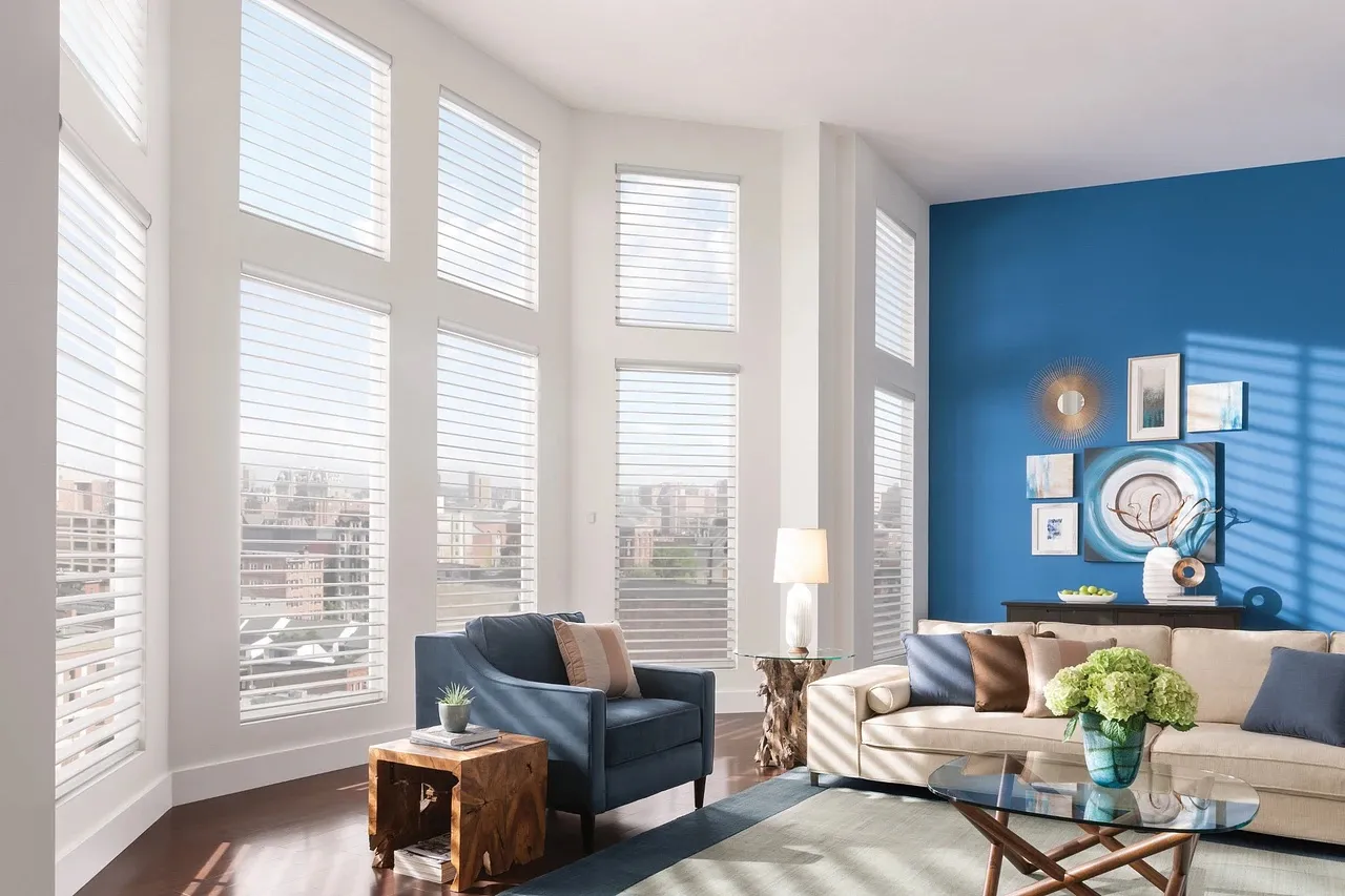 Sheer shades in a living room