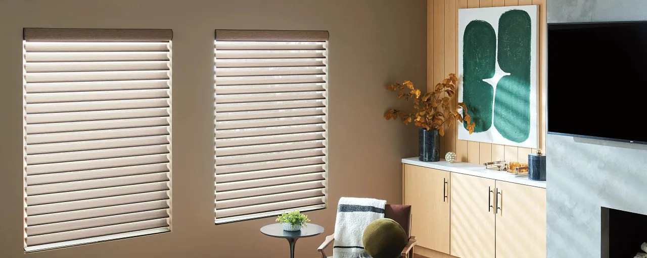 Sheer shades in a media room